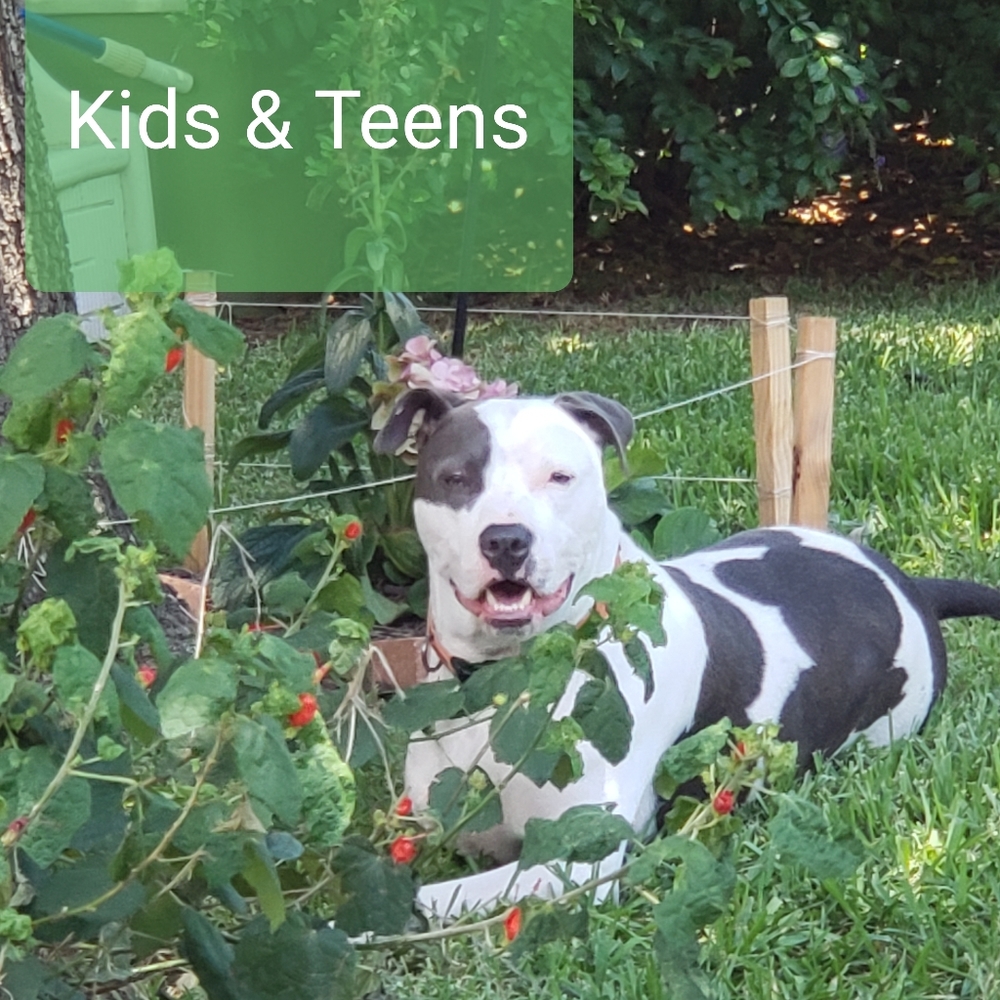 Below are Teen and Kids